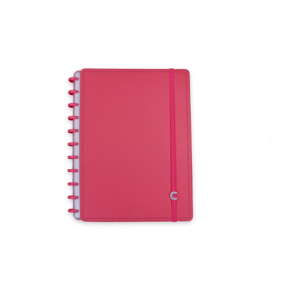 CADERNO INTELIGENTE GRANDE ALVIVERDE 80FLS